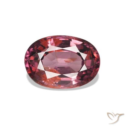 1.14ct Rosso scuro Granato rodolite, Ovale, VS-SI