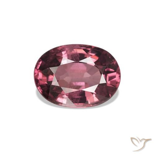 1.02ct Magenta-rosa scuro Dark Granato rodolite, Ovale, VS