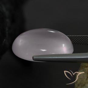 Quarzo rosa Rosa molto chiaro naturale da 25.98 ct, Ovale, Trasparente