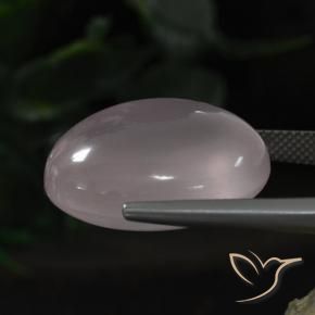 Quarzo rosa Rosa rosa naturale da 33.08 ct, Ovale, Trasparente