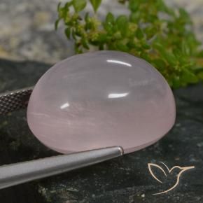 Quarzo rosa Rosa chiaro naturale da 27.49 ct, Ovale, Traslucido