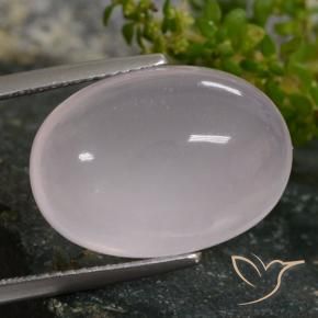 Quarzo rosa Rosa Molto Chiaro naturale da 16.02 ct, Ovale, Traslucido