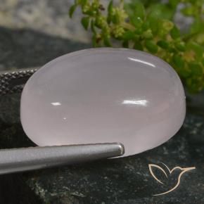 Quarzo rosa Rosa Molto Chiaro naturale da 16.02 ct, Ovale, Traslucido