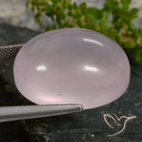 Quarzo rosa Rosa corallo naturale da 35.16 ct, Ovale, Traslucido