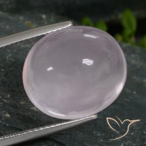 Quarzo rosa Rosa Molto Chiaro naturale da 16.96 ct, Ovale, Traslucido
