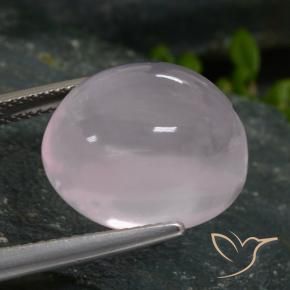 Quarzo rosa Rosa Molto Chiaro naturale da 16.96 ct, Ovale, Traslucido
