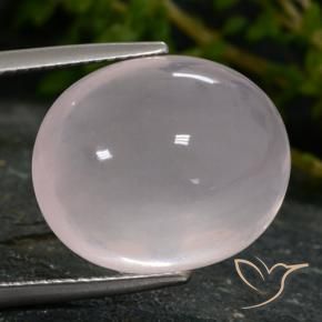 Quarzo rosa Rosa Molto Chiaro naturale da 15.67 ct, Ovale, Traslucido