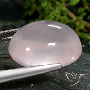 Quarzo rosa Rosa chiaro naturale da 16.28 ct, Ovale, Traslucido