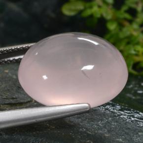 Quarzo rosa Rosa chiaro naturale da 14.67 ct, Taglio ovale, Traslucido