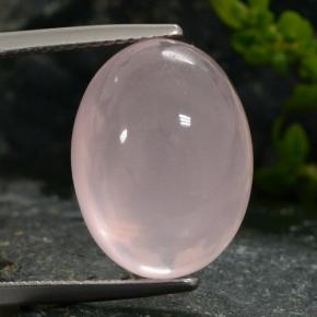 Quarzo rosa naturale rosa da 15,31 ct, taglio ovale, traslucido