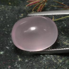 Quarzo rosa naturale rosa da 15,87 ct, taglio ovale, traslucido