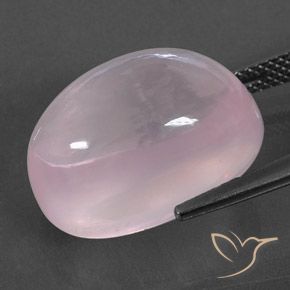 Quarzo rosa Rosa gomma da masticare naturale da 19.62 ct, Ovale, Trasparente