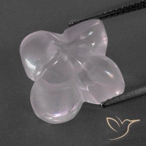 Quarzo rosa Rosa Molto Chiaro naturale da 9.66 ct, Taglio a fiore, Trasparente/Traslucido