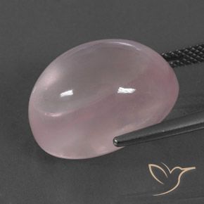 Quarzo rosa Rosa corallo naturale da 19.58 ct, Ovale, Trasparente