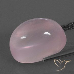 Quarzo rosa Rosa corallo naturale da 21.24 ct, Ovale, Trasparente