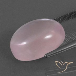 Quarzo rosa Rosa medio naturale da 15.59 ct, Ovale, Trasparente