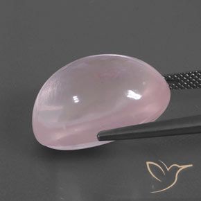 Quarzo rosa Rosa medio rosa naturale da 23.01 ct, Ovale, Trasparente/Traslucido