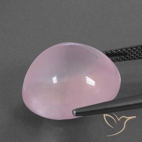 Quarzo rosa Rosa gomma da masticare naturale da 15.81 ct, Ovale, Trasparente/Traslucido