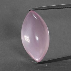 Quarzo rosa Rosa medio naturale da 18.96 ct, Taglio marquise, Trasparente