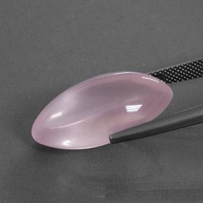 Quarzo rosa Rosa medio naturale da 18.96 ct, Taglio marquise, Trasparente