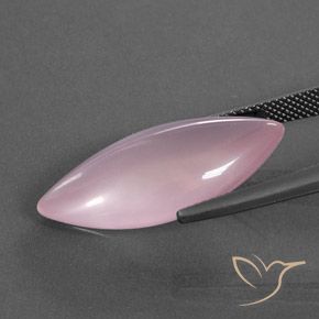Quarzo rosa Rosa rosa naturale da 16.11 ct, Taglio marquise, Trasparente