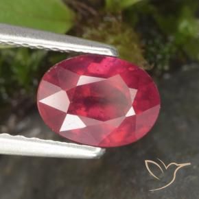 Rubino Rosso medio naturale da 1.41 ct, Ovale, VS-SI