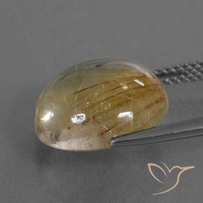 Quarzo rutilo Marrone Dorato Molto Chiaro naturale da 7.22 ct, Rotondo, Trasparente