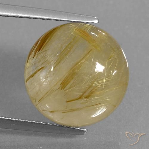 9.04ct Naturale Giallo di Digione Quarzo rutilo, Rotondo, Trasparente