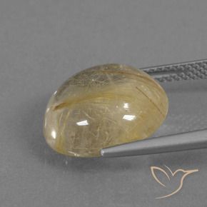 Quarzo rutilo Giallo dorato naturale da 8.76 ct, Rotondo, Trasparente