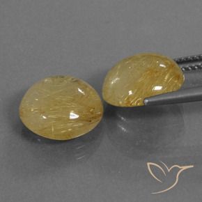 Gemme di Quarzo rutilo Oro medio naturale da 8.46 ct, Rotondo, Trasparente