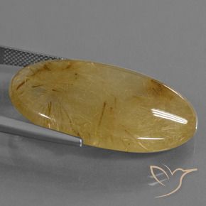 Quarzo rutilo Giallo dorato naturale da 39.16 ct, Ovale, Traslucido