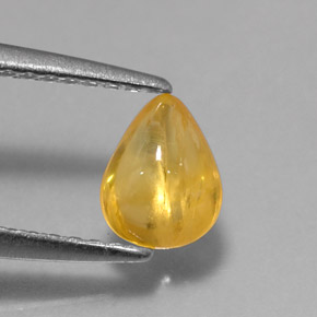 Zaffiro naturale giallo da 0,79 ct, trasparente, trasparente/traslucido