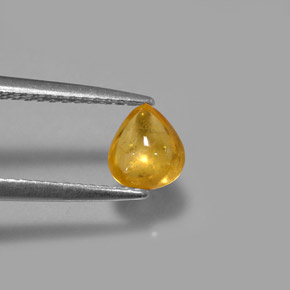 Zaffiro naturale giallo da 0,80 ct, trasparente, trasparente/traslucido