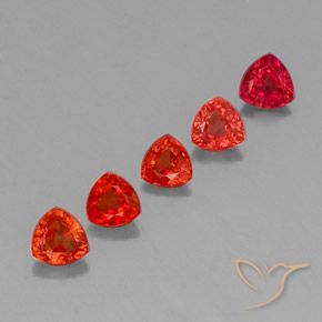 Gemme di Zaffiro Rosso cremisi brillante naturale da 1.77 ct, Taglio trillion, VVS-VS
