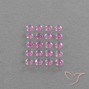 Gemme di Zaffiro Rosa Molto Chiaro naturale da 3.87 ct, Rotondo, Trasparente