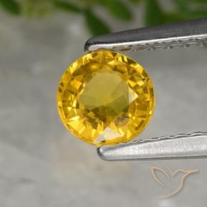 Zaffiro Dorato naturale da 0.64 ct, Rotondo, VS