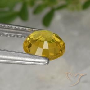 Zaffiro Dorato naturale da 0.64 ct, Rotondo, VS