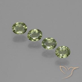 Gemme di Zaffiro Caldo bosco verde naturale da 1.73 ct, Ovale, VS