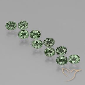 Gemme di Zaffiro Verde medio-scuro naturale da 6.27 ct, Ovale, VVS-VS