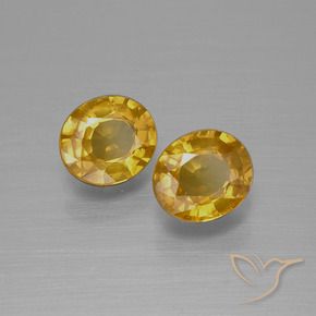 Gemme di Zaffiro Dorato medio-scuro naturale da 1.52 ct, Ovale, VS