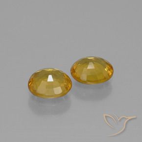 Gemme di Zaffiro Dorato medio-scuro naturale da 1.52 ct, Ovale, VS