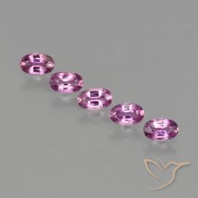 Gemme di Zaffiro Rosa viola naturale da 1.60 ct, Ovale, VS