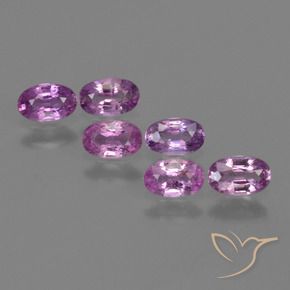 Gemme di Zaffiro Viola Rosato Intenso naturale da 1.54 ct, Ovale, VS