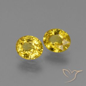 Gemme di Zaffiro Giallo naturale da 1.48 ct, Ovale, VS