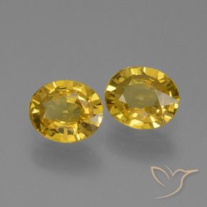 Gemme di Zaffiro Dorato naturale da 1.29 ct, Ovale, VVS-VS