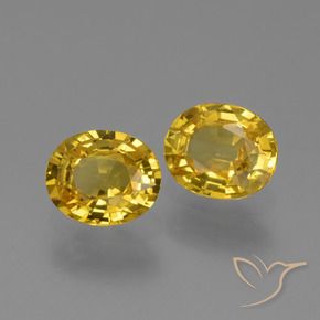Gemme di Zaffiro Dorato naturale da 1.49 ct, Ovale, VS