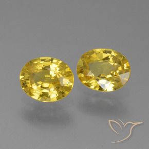 Gemme di Zaffiro Oro giallastro naturale da 1.44 ct, Ovale, VVS-VS