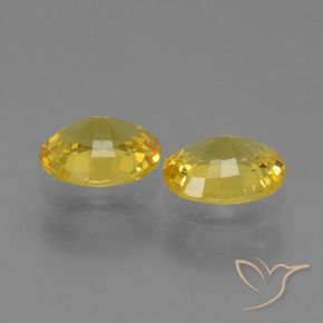 Gemme di Zaffiro Oro giallastro naturale da 1.44 ct, Ovale, VVS-VS