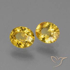 Gemme di Zaffiro Giallo intenso naturale da 1.39 ct, Ovale, VS