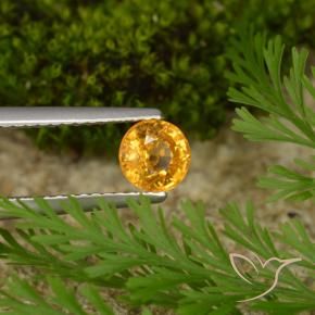 Zaffiro Arancio Scuro-Oro naturale da 0.73 ct, Rotondo, VS